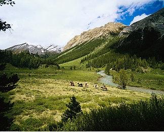 《艾尔登法环》最近更新 偷偷降低了一些boss的难度